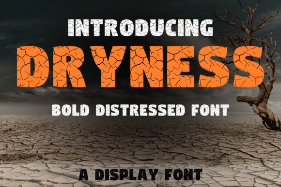 Dryness Display Font for Handmade Product Design